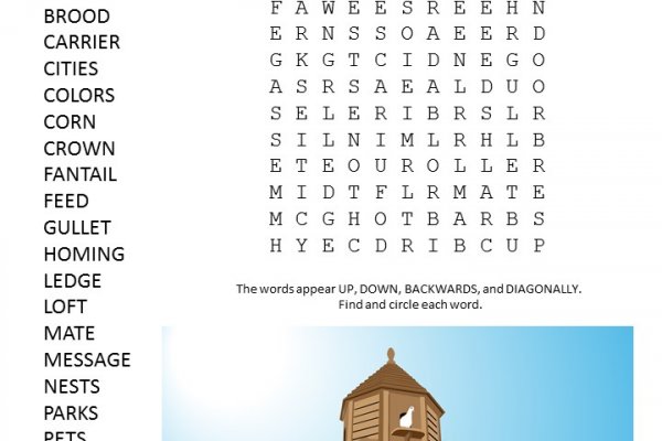 Как зайти в кракен