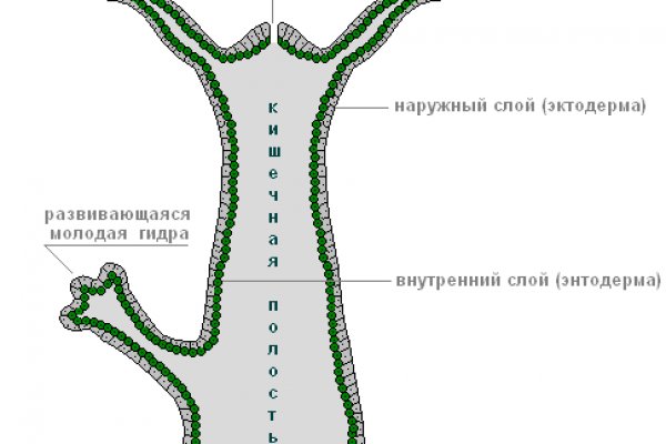 Кракен сс