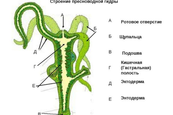 Кракен дарксайд